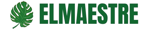 elmaestre.com